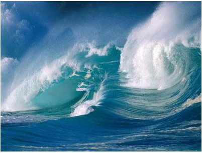 �����Z�F(xi��n)��2015